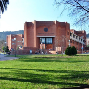 Plaça de gespa i l'edifici Vértex al fons. 