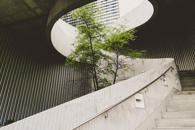 A tree and circular stairs